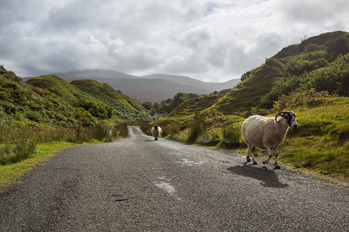 ecosse photos
