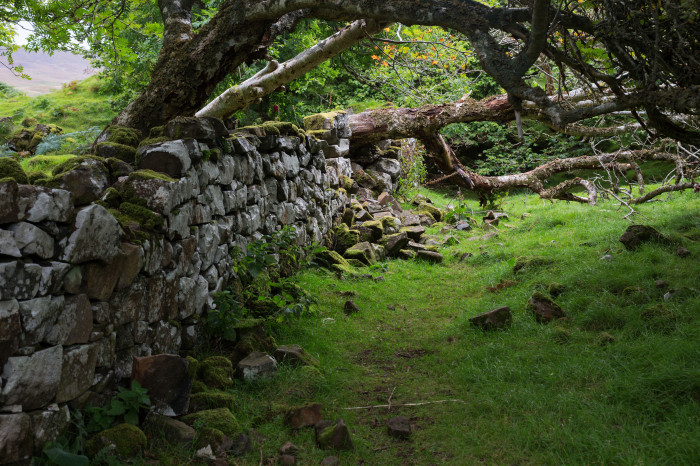 ecosse photos