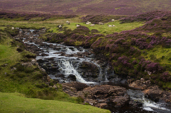 ecosse photos