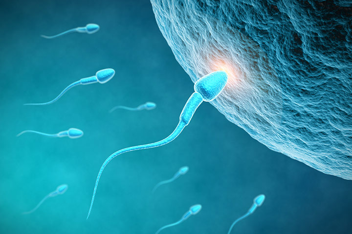 Incroyable, vous pouvez tomber enceinte sans œufs ni sperme