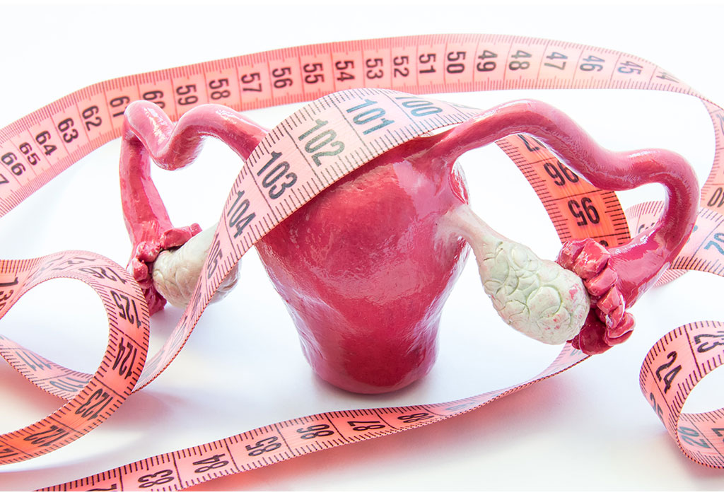La taille des ovaires est-elle importante pour devenir enceinte? 3 Modèle anatomique des ovaires et un ruban à mesurer.
