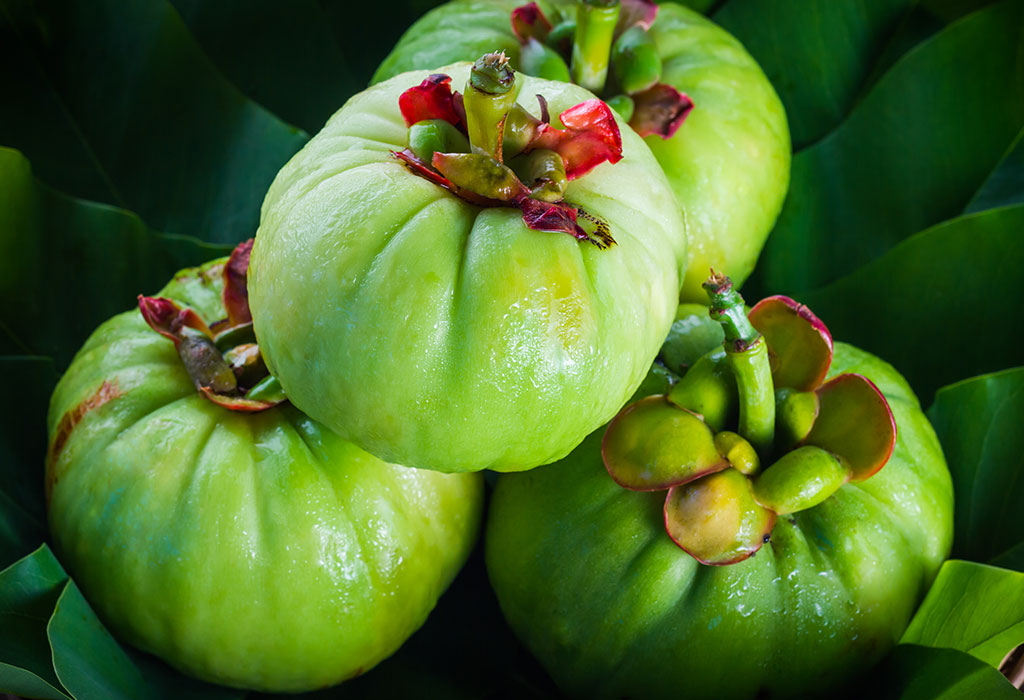 GARCINIA CAMBOGIA