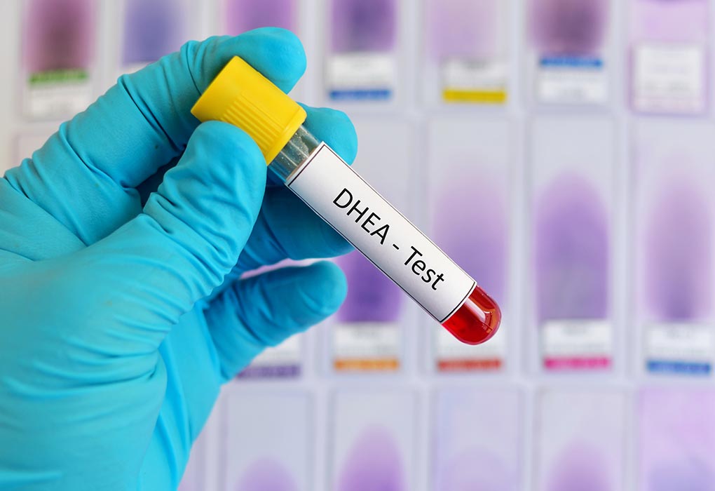 La DHEA favorise-t-elle la fertilité?