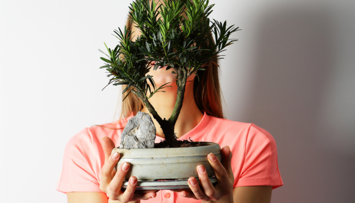 La parentalité «plante en pot» est la clé pour se connecter avec vos adolescents 2 La parentalité «plante en pot» est la clé pour se connecter avec vos adolescents