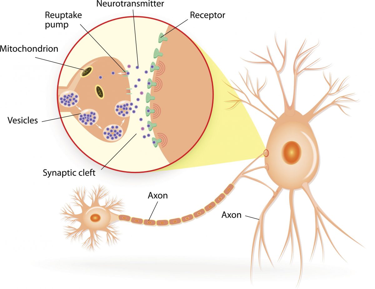 La chimie de la dépression: neurotransmetteurs et plus