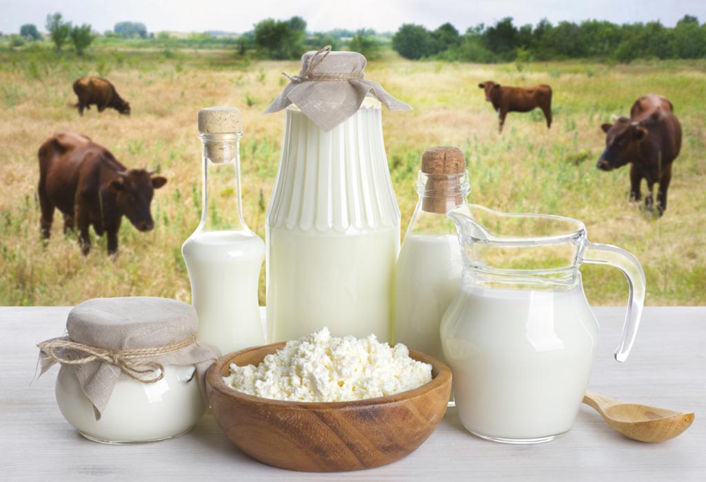 Lait de vache vs lait de buffle pour bébés et tout-petits 3 Lait de vache vs lait de buffle pour bébés et tout-petits