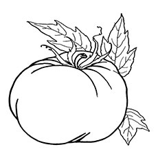 Coloriages d'une grande citrouille