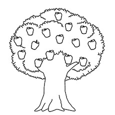 Les 25 meilleurs coloriages d'arbres pour vos petits 28 Coloriages Pommier