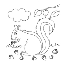 Les 35 meilleures pages à colorier d'automne que votre enfant adorera colorier 38 Écureuil avec gland pendant la coloration d'automne