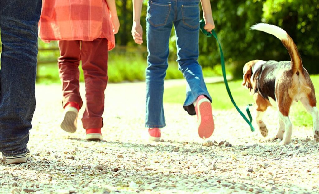 Le cadeau du temps en famille débranché