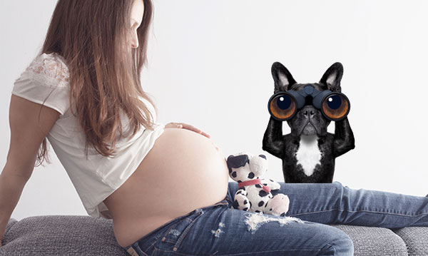 Les gens volent des photos de bosses de bébé pour des sites Web fétiches