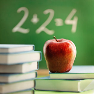 Les meilleurs et les pires états de l'éducation de la petite enfance 7 À quoi s'attendre Logo