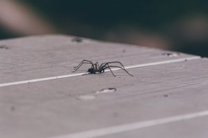 L'instabilité psychologique n'est pas visible, mais elle est là