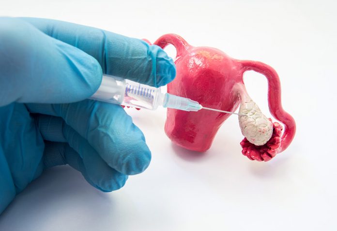 MATURATION IN VITRO 