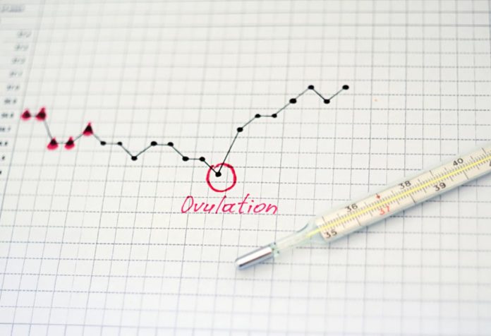 Un calendrier marquant le jour de l'ovulation. 