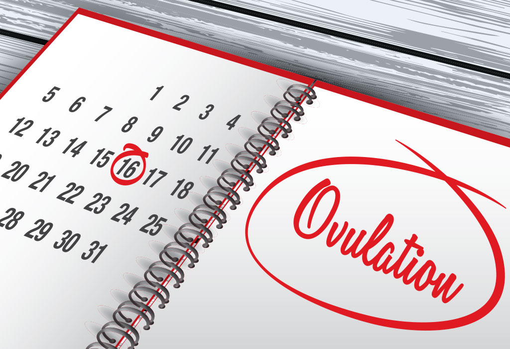 Ovulation - Connaître les signes et symptômes courants 8 Ovulation: connaître les signes et symptômes courants