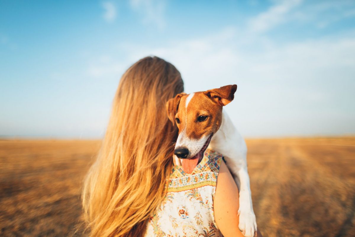 Chiens de thérapie assistée par animal pour le trouble panique