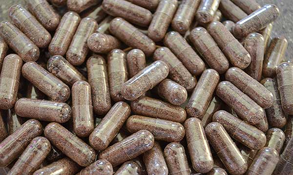 Encapsulation du placenta et services connexes dans les régions métropolitaines de Détroit et Ann Arbor