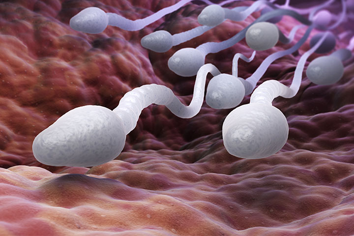 Pourquoi les scientifiques étudient-ils le sperme pour trouver la clé de la fertilité masculine?