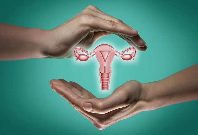 réserve ovarienne et test de fertilité 