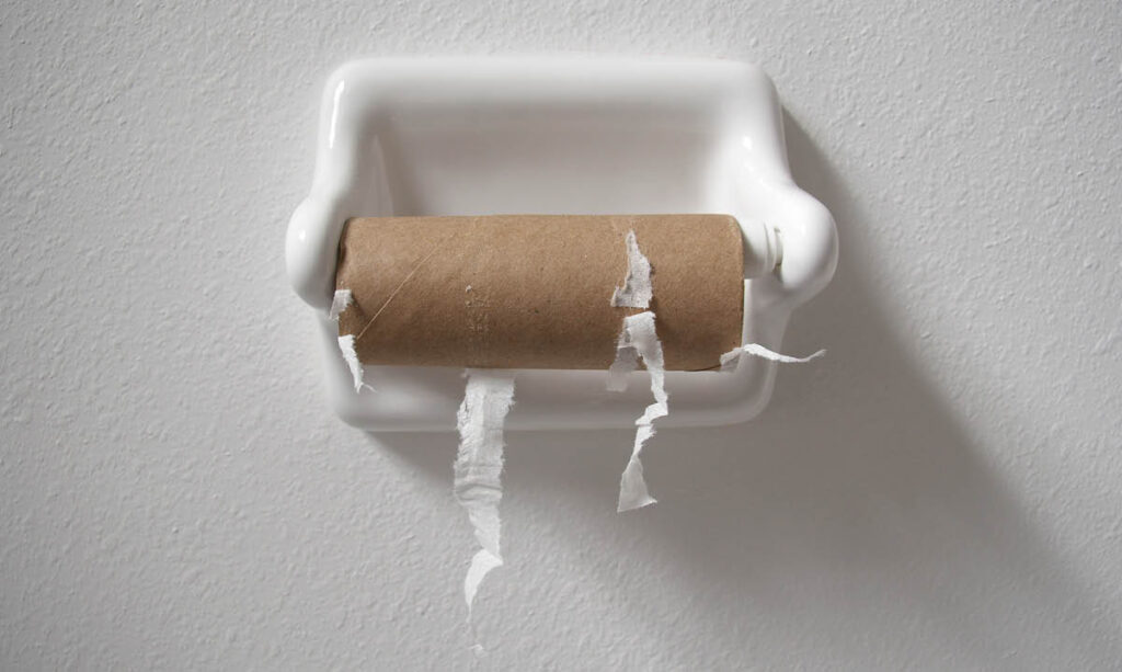 Que faire avec des alternatives de papier toilette