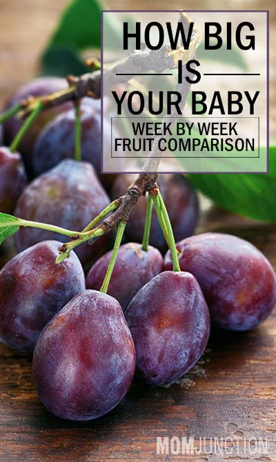 Quelle est la taille de votre bébé Semaine par semaine Comparaison des fruits