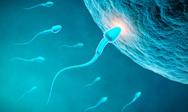 Qu'est-ce que l'IUI?