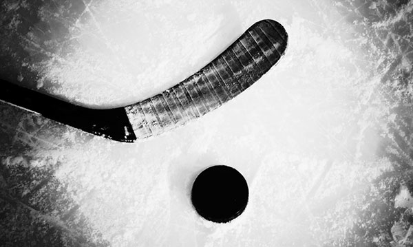 Match de hockey de bienfaisance des anciens de l'aile rouge à Hazel Park
