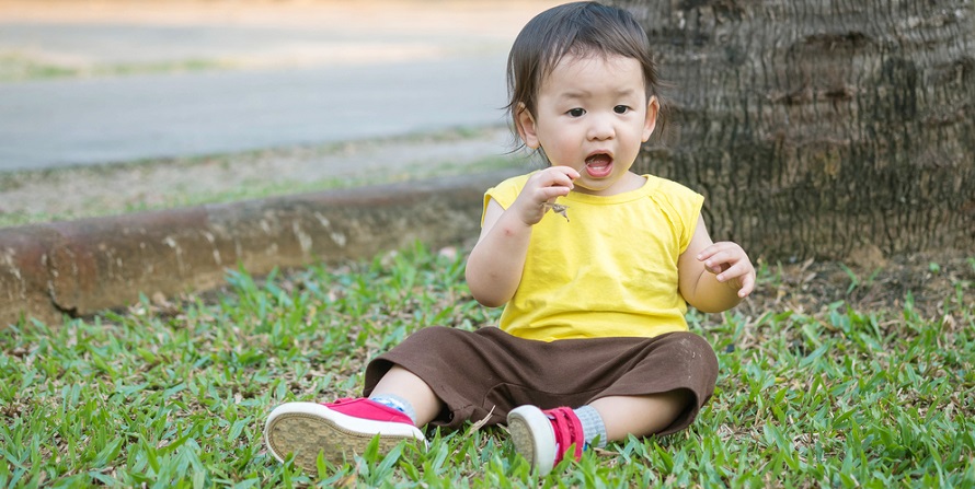 PICA - Causes et remèdes pour la carence nutritionnelle chez les bébés