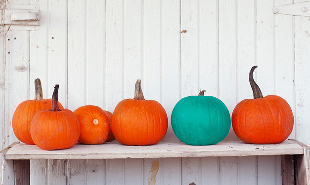 Le projet Teal Pumpkin sensibilise aux allergies alimentaires à l'Halloween
