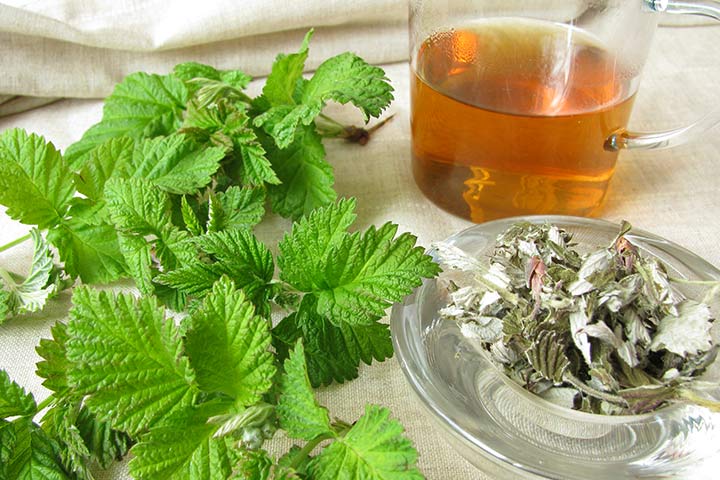 Thé aux feuilles de framboise Le meilleur thé pour les femmes