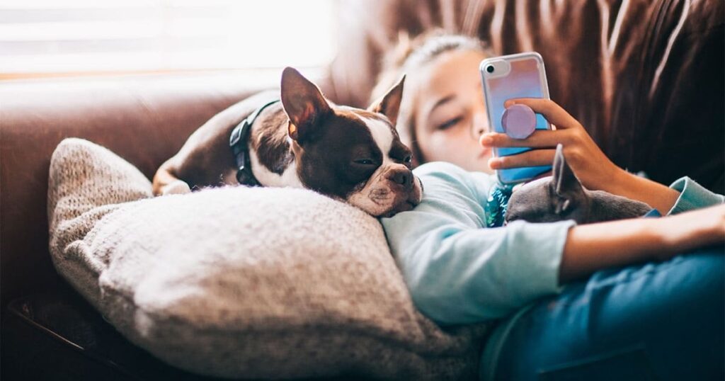 C'est la mise en quarantaine avec les adolescents 3 C'est la mise en quarantaine avec les adolescents