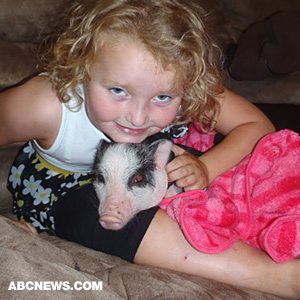 Les tout-petits et les diadèmes Alun Honey Boo Boo's Pet Pig Glitzy Saga