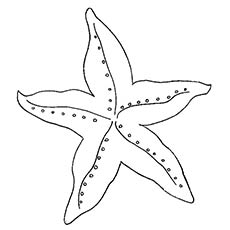 Coloriage de base de l'étoile de mer
