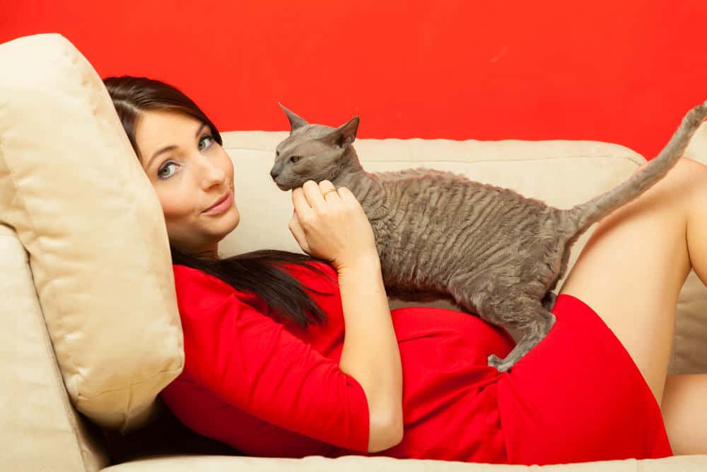 Toxoplasmose et grossesse: dois-je me débarrasser de mon chat?