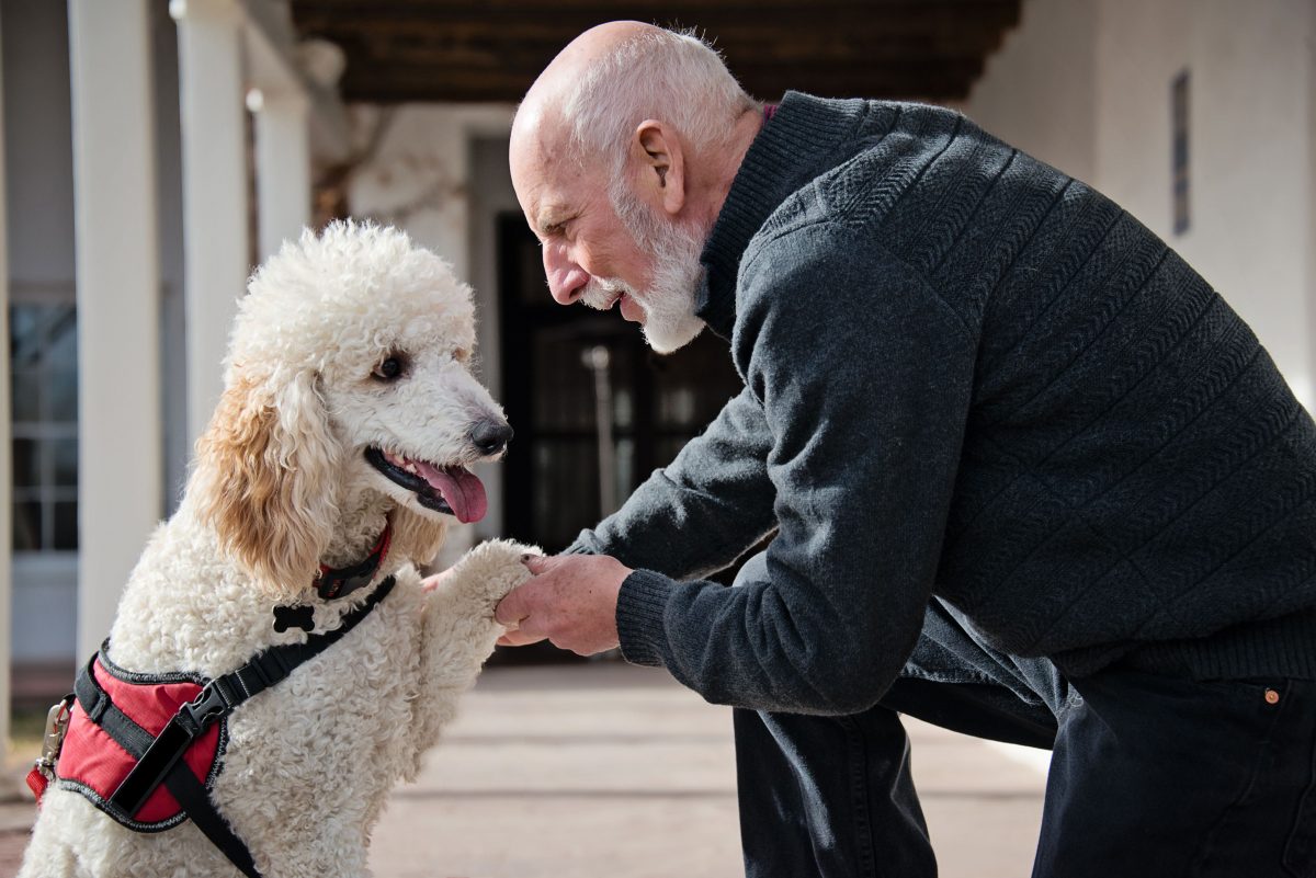 Traiter avec les chiens d'assistance, l'ADA et le SSPT