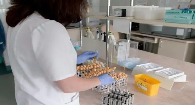 Un temps chaud et humide peut ralentir la propagation du coronavirus: étude