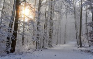 Vers la lumière: réflexions sur 2019