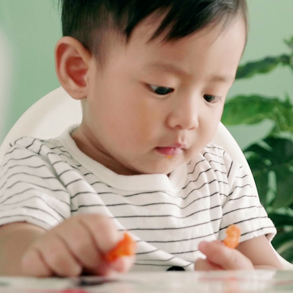 Vidéo: Méthodes d'alimentation des solides 8 Vidéo: Méthodes d'alimentation des solides