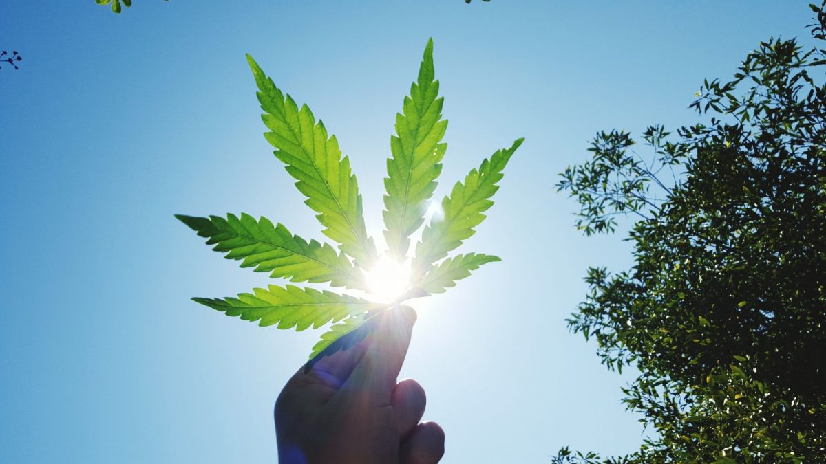 Votre consommation de marijuana devient-elle un problème?