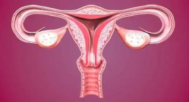 Vous voulez augmenter votre fertilité? Faites ces exercices