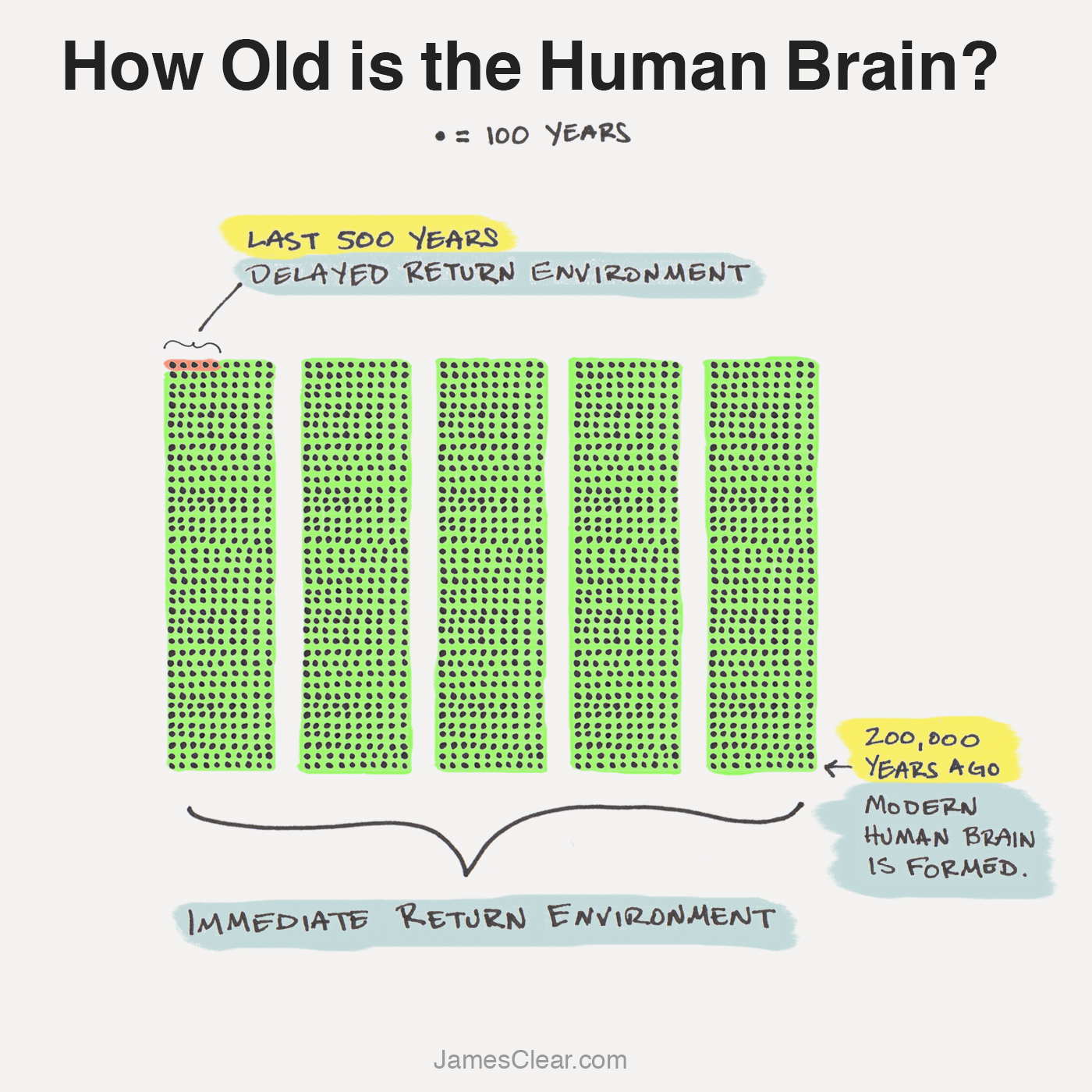L'évolution de l'anxiété: pourquoi nous nous en soucions et que faire à ce sujet 9 Evolution du cerveau humain (évolution de l'anxiété)
