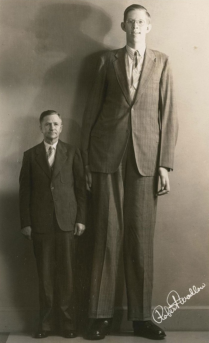 Robert Wadlow (boucles de rétroaction)