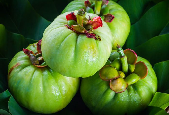 GARCINIA CAMBOGIA GARCINIA CAMBOGIA