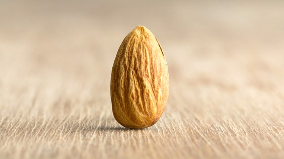 À quoi s'attendre Logo
