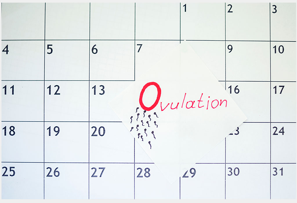 Les femmes peuvent-elles ovuler plus d'une fois par mois? 5 OVULATION