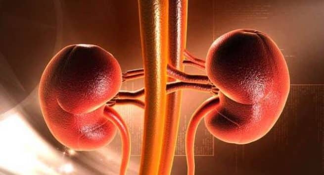 15 ans après une transplantation rénale: une vraie histoire