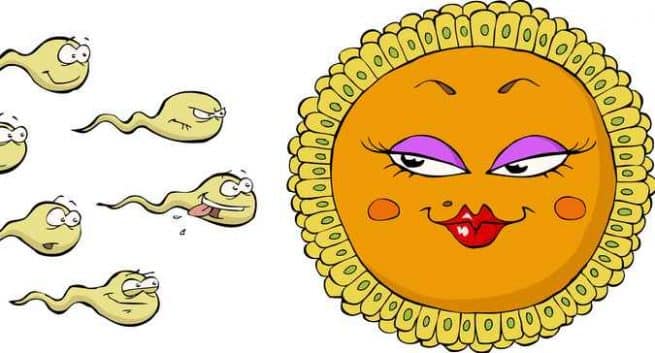 infertility