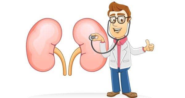 Ce que vous devez savoir sur les greffes de rein 1 news-diseases-world-kidney-day-THS