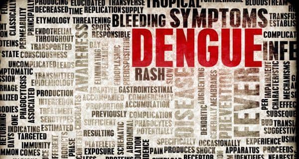 Les médecins de Fortis interviennent pour sauver la vie d'un enfant de 6 ans souffrant du syndrome de choc de la dengue 5 3-dengue